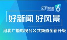 广东公共频道新闻爆料,揭秘某重大事件背后真相